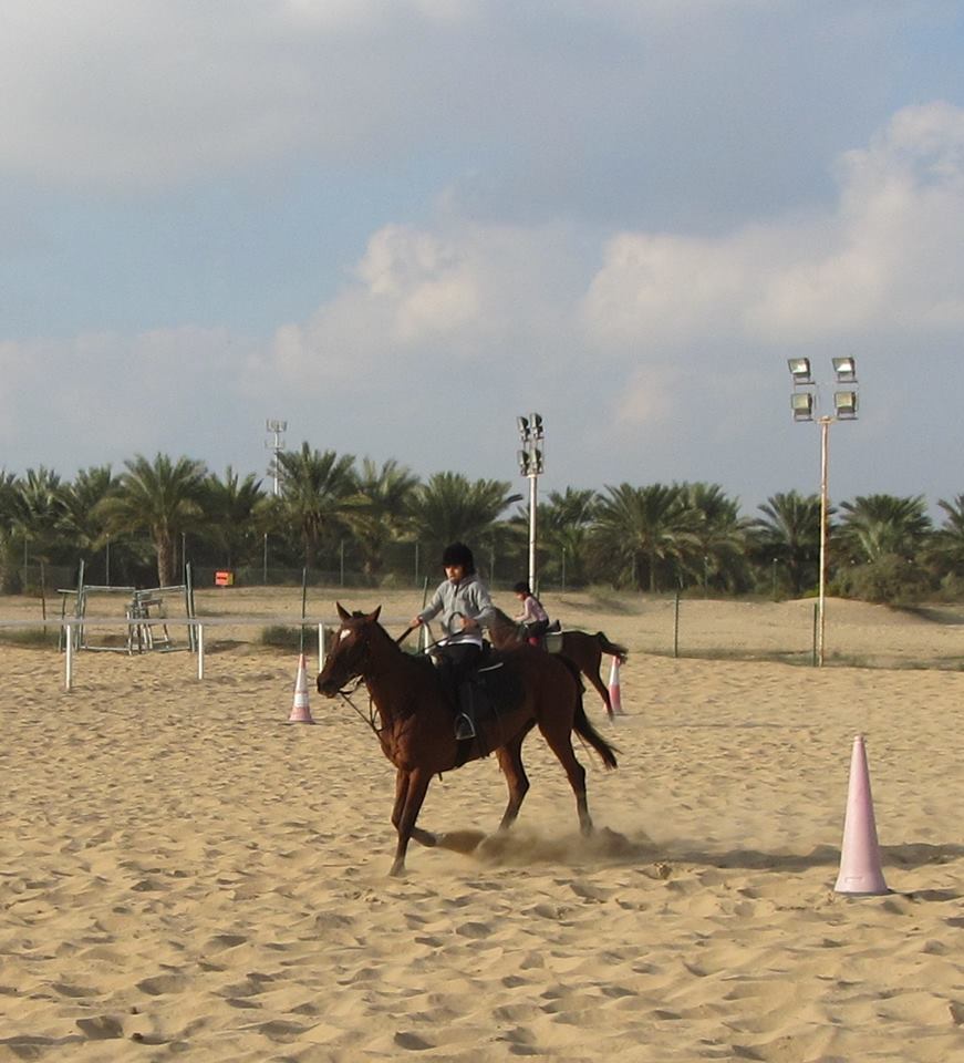 mushrif park horse riding